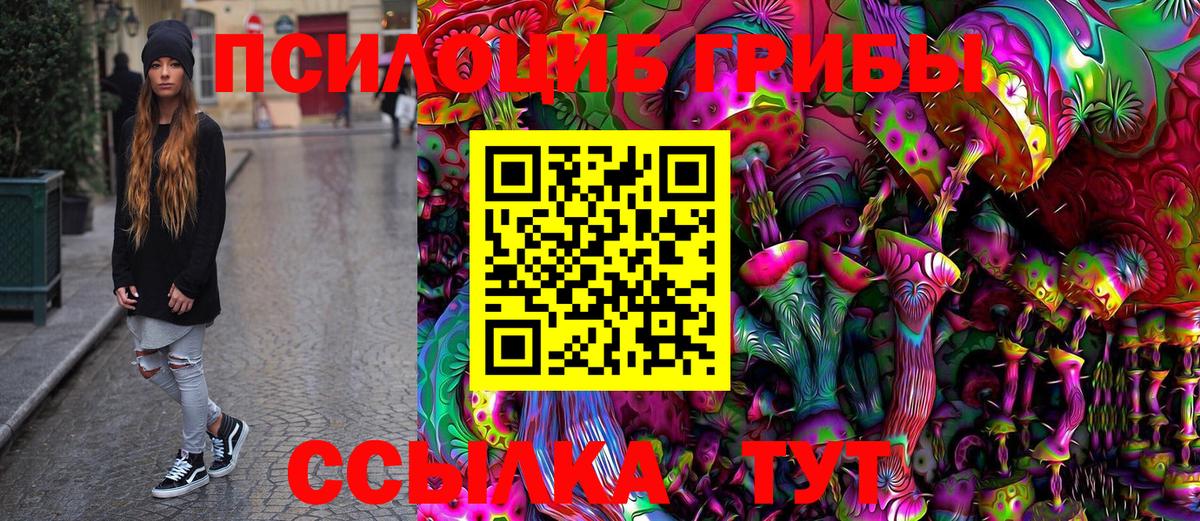 Псилоцибиновые грибы Psilocybine cubensis  Псилоцибиновые грибы Psilocybine cubensis  где купить наркоту  Брянск 