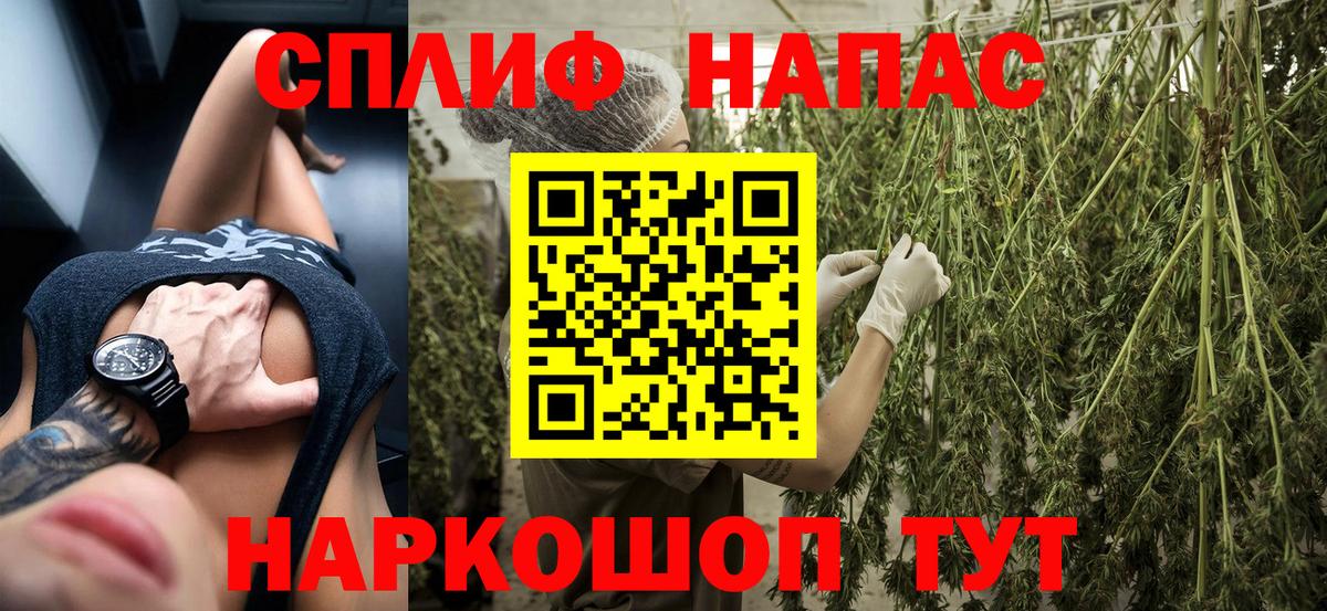 Конопля White Widow  Бошки Шишки Bruce Banner  Брянск  Вход с VPN 